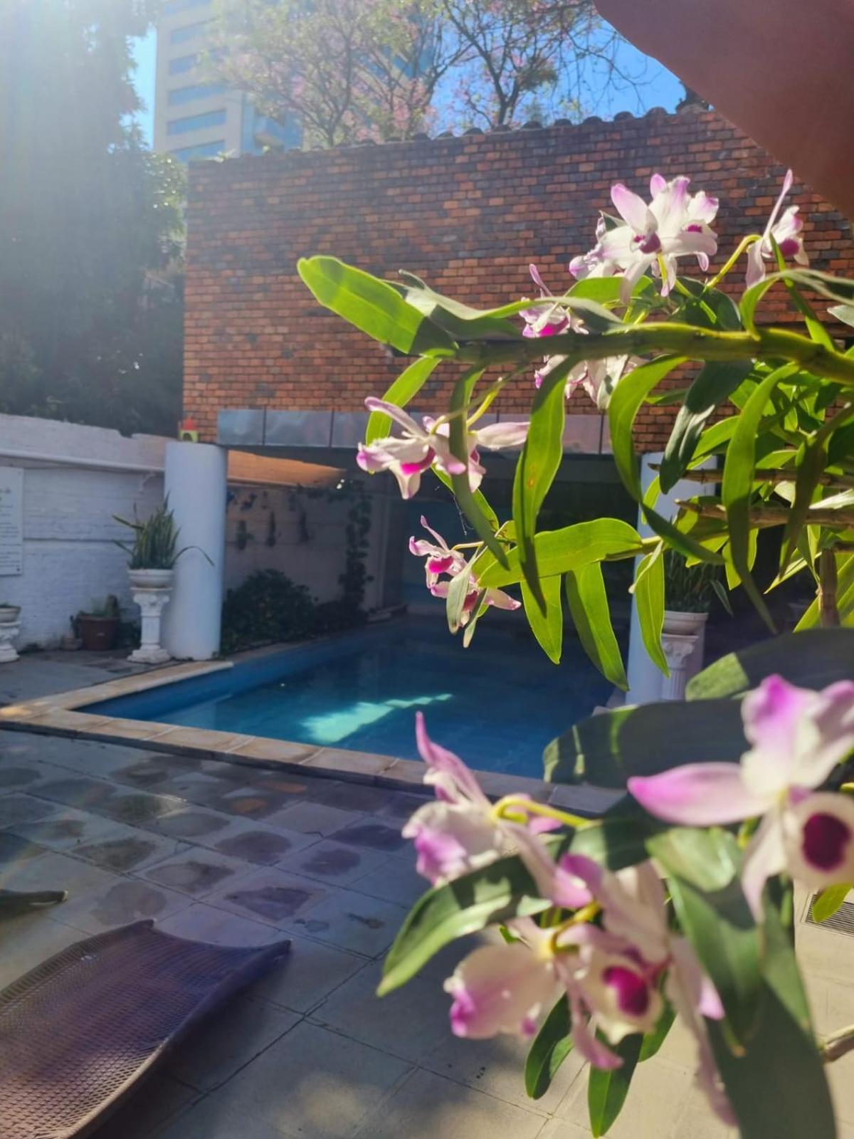 Hotel Hassler Asuncion Extérieur photo